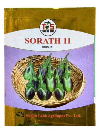 Brinjal Sorath-11