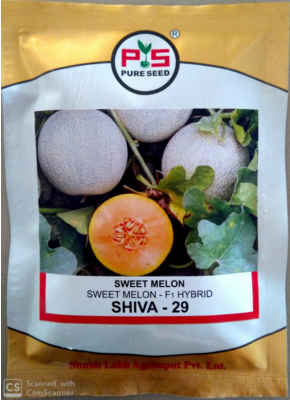 Sweetmelon Shiva-29