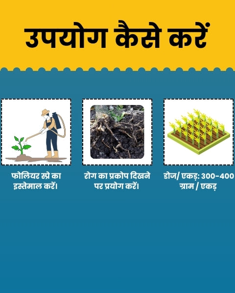 Katyayani Samartha - Carbendazim 12% + Mancozeb 63% WP | Chemical Fungicide