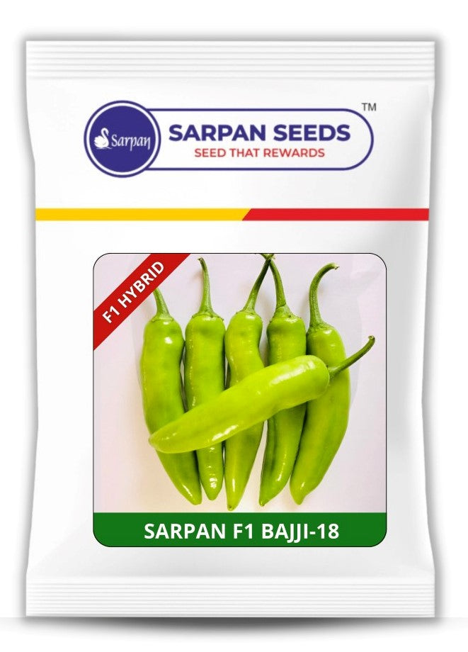Chilli / Hot Pepper Sarpan F1 Bajji-18