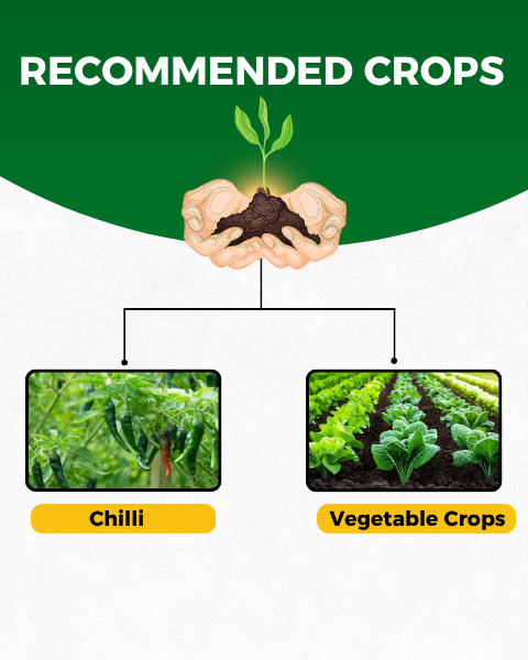 Katyayani Sarvashakti - Organic Pesticide