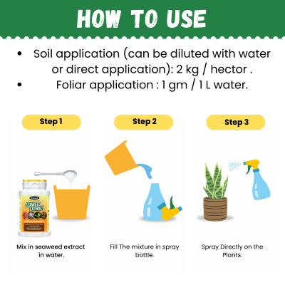Katyayani Seaweed Extract Fertilizer