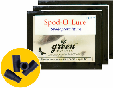 Spodo-o- Lure / Spodoptera Litura Pheromone Lure