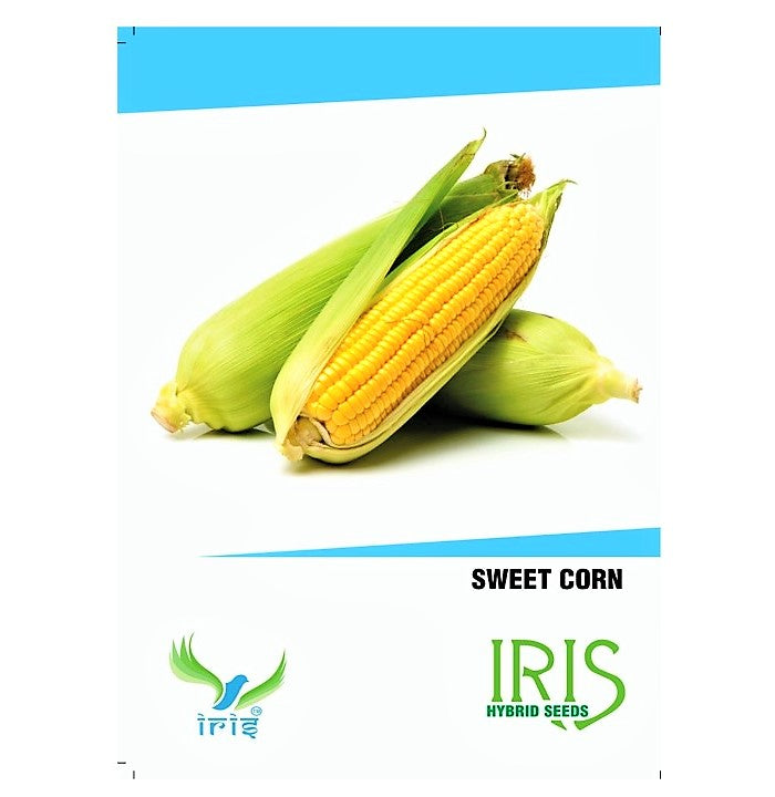 Iris F1 Maize / Sweet Corn