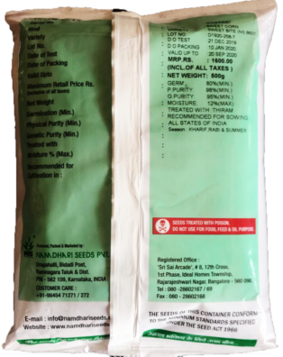 Maize / Sweet Corn NS 8601 Sweetbite