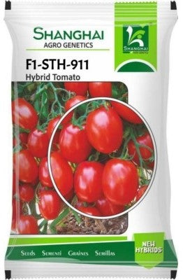 Tomato F1 STH-911 10 grams