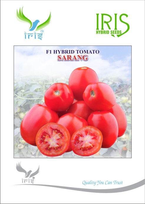Tomato Iris F1 Sarang