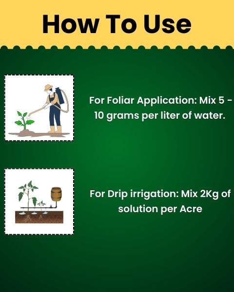 Katyayani Triple Attack