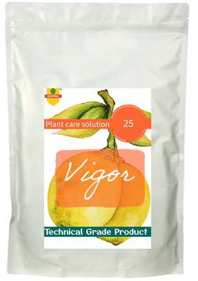 Ecotika Vigor K-Ca-Mg-S Fertilizer