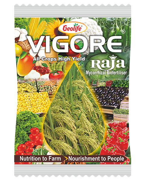 Geolife Vigore Raja - Mycorrhizal Bio Fertilizer
