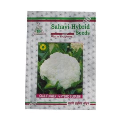 Cauliflower Surabhi