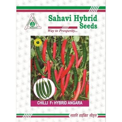 Chilli / Hot Pepper Angara