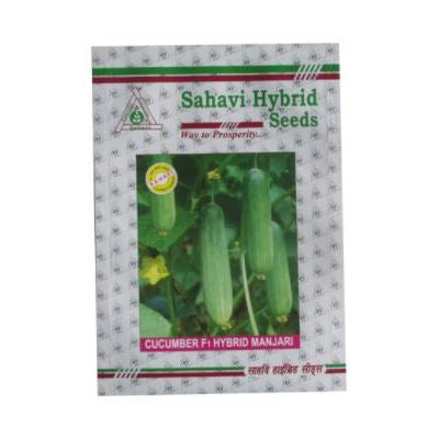 Cucumber Manjari