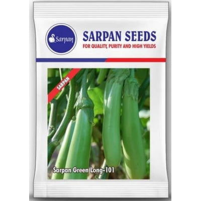 Brinjal Sarpan Green Long 101