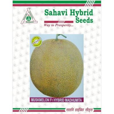 Muskmelon / Kharbooja Madhumita