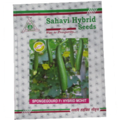 SpongeGourd / Galki Mohit