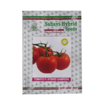 Tomato Samridhi