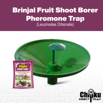 Chipku Pheromone Water Trap with Brinjal Fruit & Shoot Borer Lure (Combo Pack of 6)