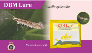 DBM Lure / Plutella xylostella Pheromone Lure