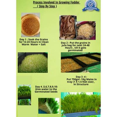 AgroStudio Eco Solar Green Fodder Hyroponics 24 Trays