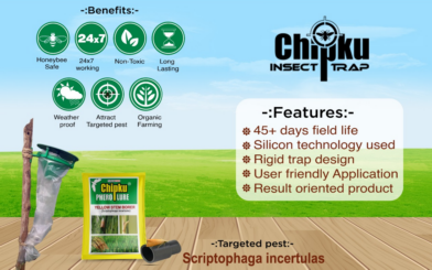 Chipku Pheromone Funnel Trap with YSB Lure (Combo Pack of 10)