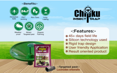 Chipku Pheromone Water Trap with Brinjal Fruit & Shoot Borer Lure (Combo Pack of 6)