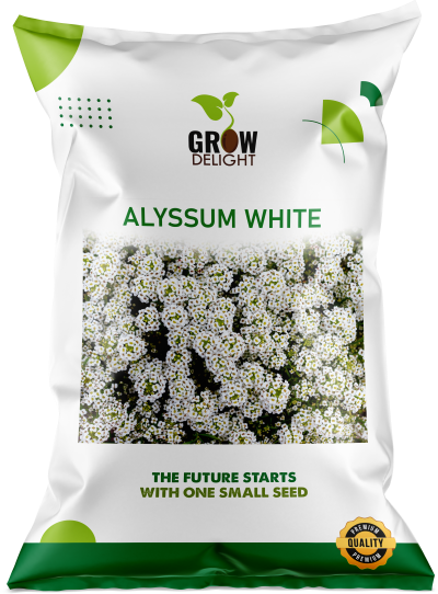 Grow Delight Imported Alyssum White