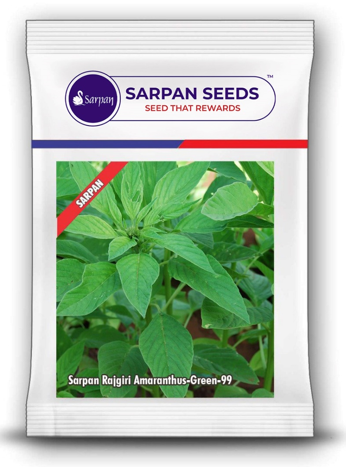 Amaranthus / Rajgiri Sarpan Green-99
