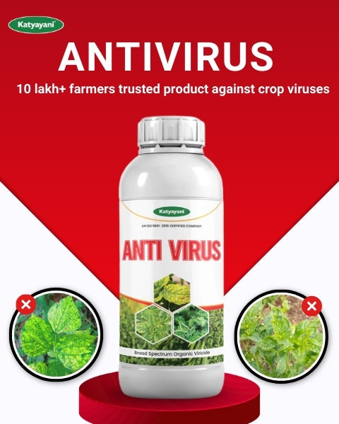 Katyayani Antivirus Viricide | Special for Chilli, Tomato & Brinjal