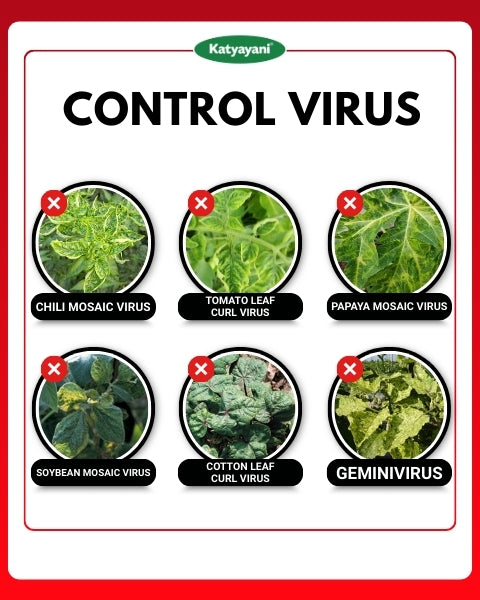 Katyayani Antivirus Viricide | Special for Chilli, Tomato & Brinjal
