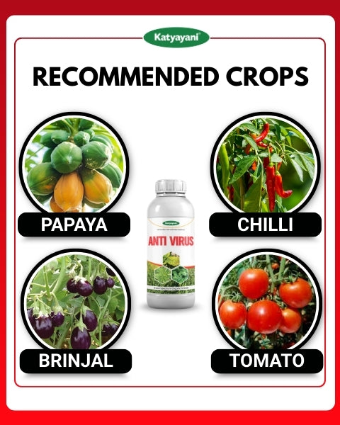 Katyayani Antivirus Viricide | Special for Chilli, Tomato & Brinjal