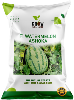 Watermelon F1 Ashoka