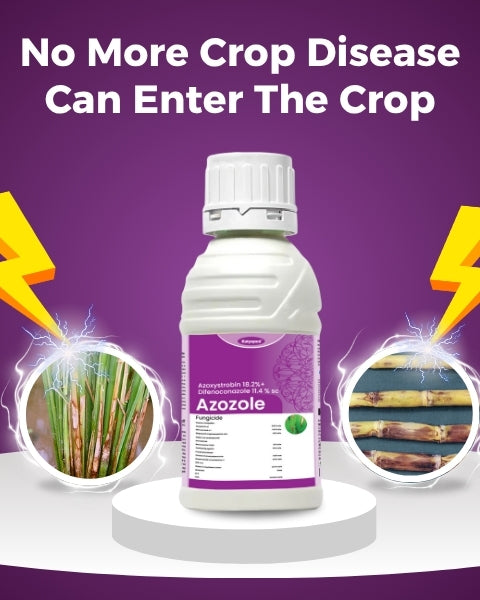 Katyayani Azozole - Azoxystrobin 18.2%+ Difenoconazole 11.4 % SC
