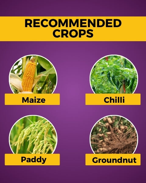 Katyayani Azozole - Azoxystrobin 18.2%+ Difenoconazole 11.4 % SC