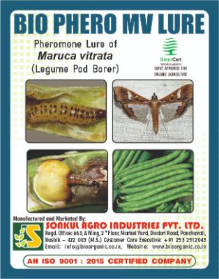 Combo Pack of Bio Phero MV Lure & Delta trap set (Pack of 10 Pieces)