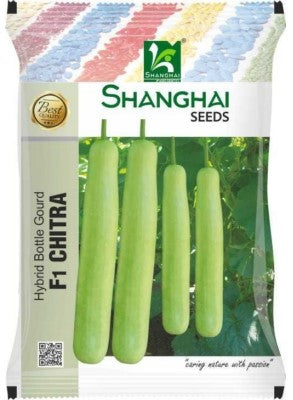 BottleGourd / Lauki F1 Chitra