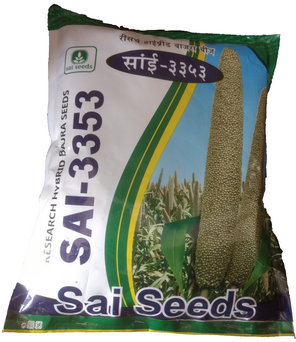 PearlMillet / Bajra Sai-3353