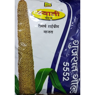 PearlMillet / Bajra Gujrat Gold 5552