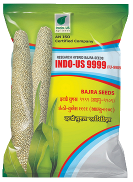 PearlMillet / Bajra Indo US 9999