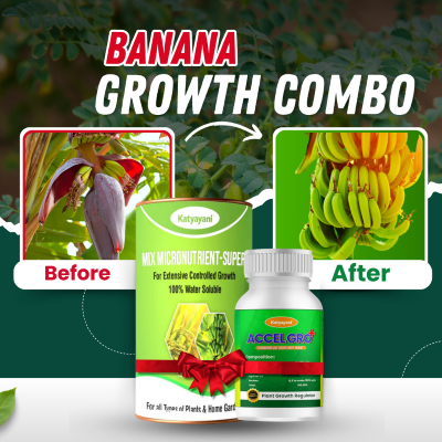 Katyayani Banana Growth Booster Combo