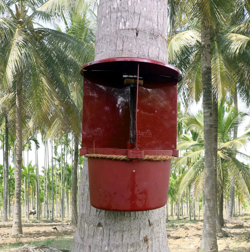 Barrix Hunter Red Palm Weevil Phero - Kairo Lure