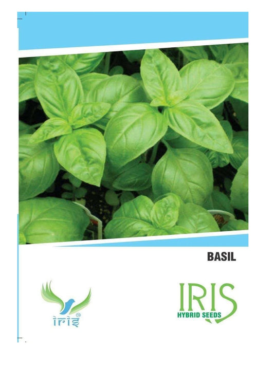 Iris Imported Basil 70 Seeds