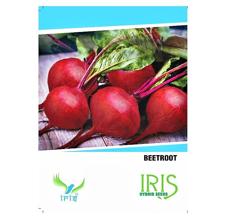 Iris Imported Beetroot 30 Seeds
