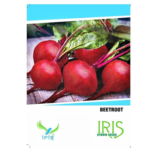 Iris Imported Beetroot 30 Seeds