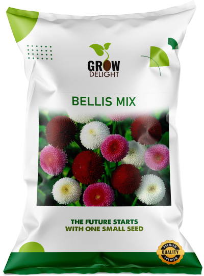 Grow Delight Imported Bellis Mix - 200 seeds