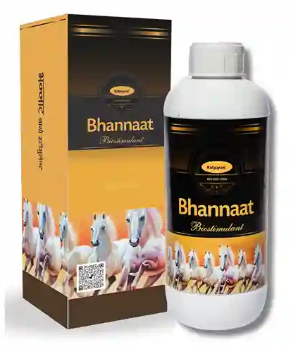 Katyayani Bhannat Biostimulant