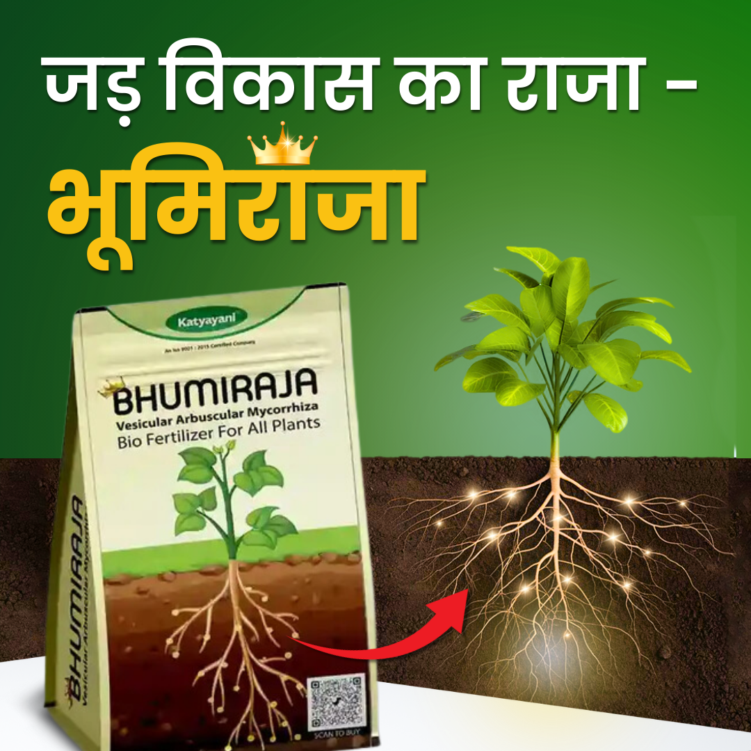 Katyayani Bhumiraja | Mycorrhiza | Bio Fertilizer