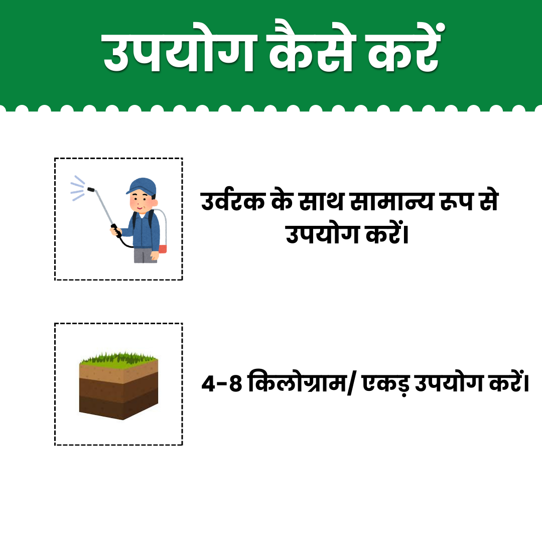 Katyayani Bhumiraja | Mycorrhiza | Bio Fertilizer