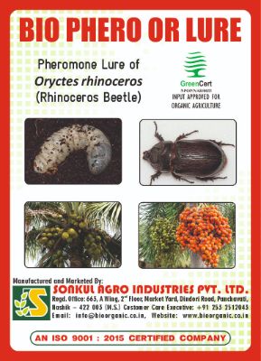 Combo Pack of Bio Phero OR (Rhinoceros Beetle) Lure & Bucket trap set (Pack of 5 Pieces)