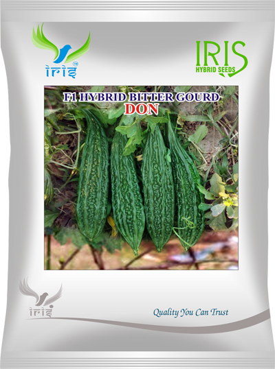 BitterGourd / Karela F1 Iris Don